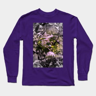 apple blossoms 12 Long Sleeve T-Shirt